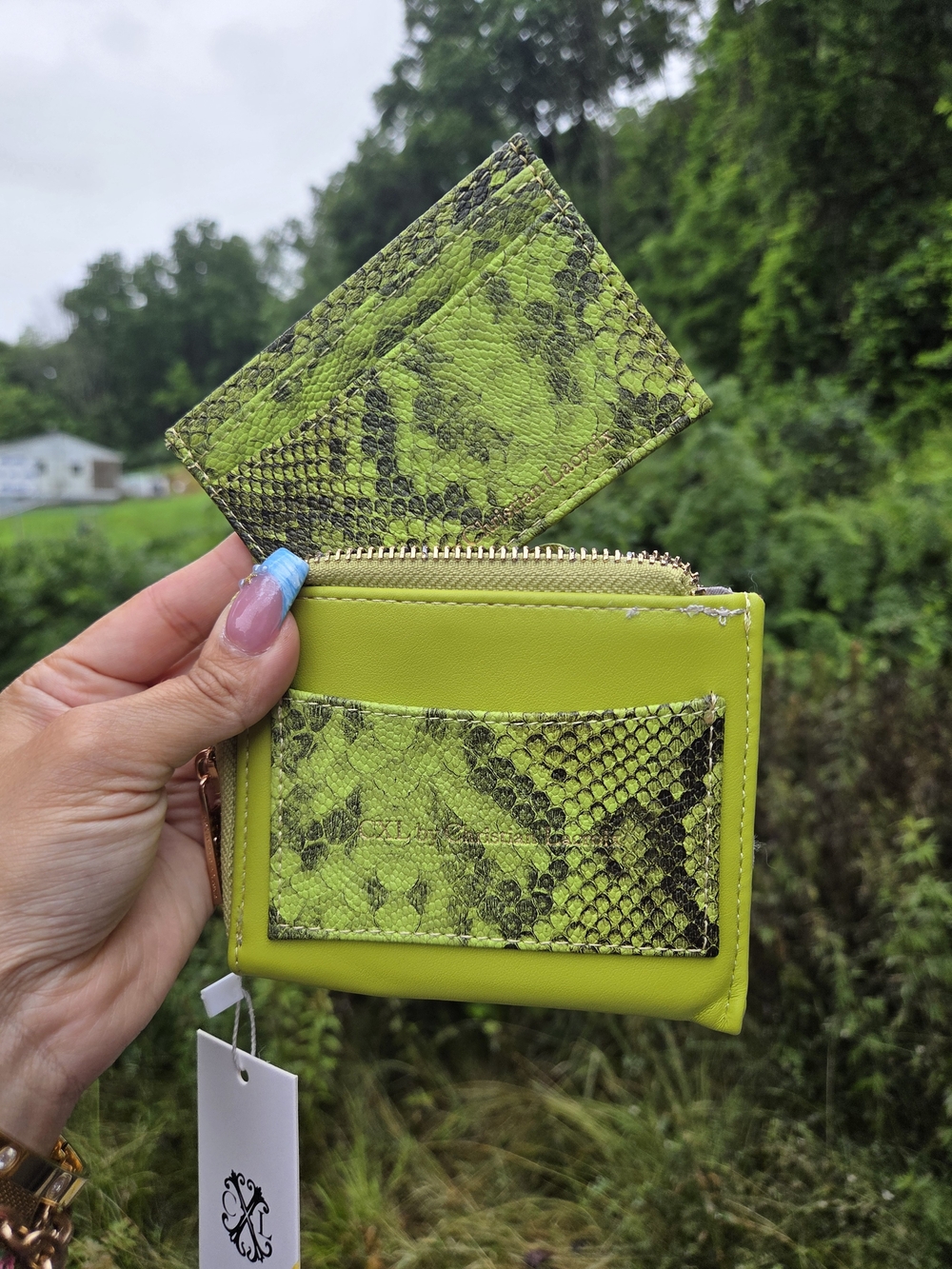CXL Christian Lacroix Lime Green Python Zip Around Wallet Card Holder NWT